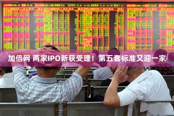 加倍网 两家IPO新获受理！第五套标准又迎一家