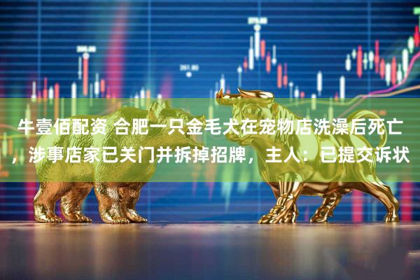 牛壹佰配资 合肥一只金毛犬在宠物店洗澡后死亡，涉事店家已关门并拆掉招牌，主人：已提交诉状