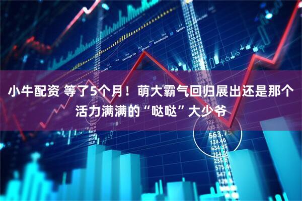 小牛配资 等了5个月！萌大霸气回归展出还是那个活力满满的“哒哒”大少爷