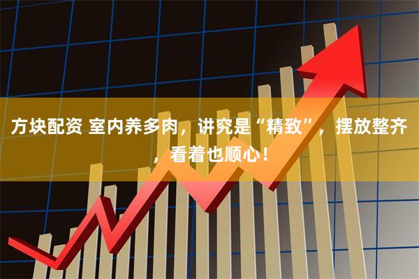 方块配资 室内养多肉，讲究是“精致”，摆放整齐，看着也顺心！